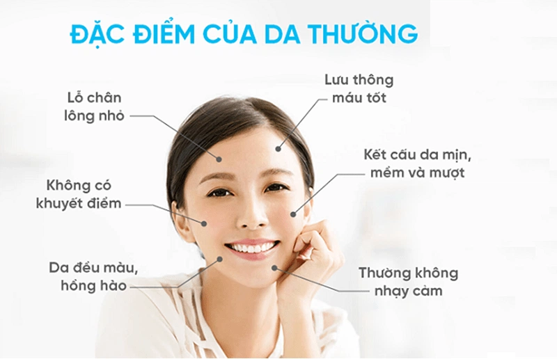 Đặc điểm của da thường